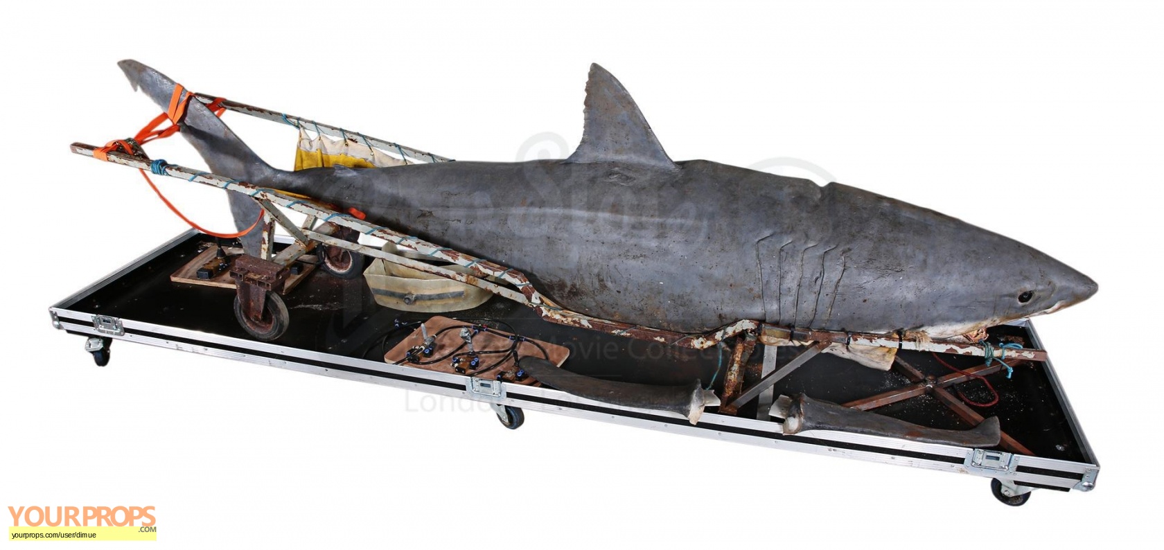 https://www.yourprops.com/movieprops/original/yp5e808087c9ebe5.84225390/Unknown-Movie-Animatronic-Great-White-Shark-Puppet-with-Controls-1.jpg