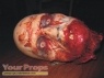 The Walking Dead replica make-up   prosthetics